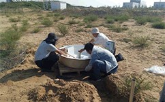 大型環境氣象觀測系統順利通過陜西省治沙研究所驗收
