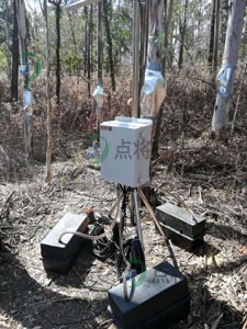 1562123712272313.jpg 5.jpg