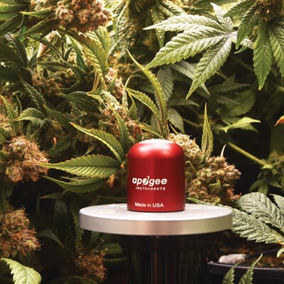 雙通道紅光和遠紅外輻射傳感器