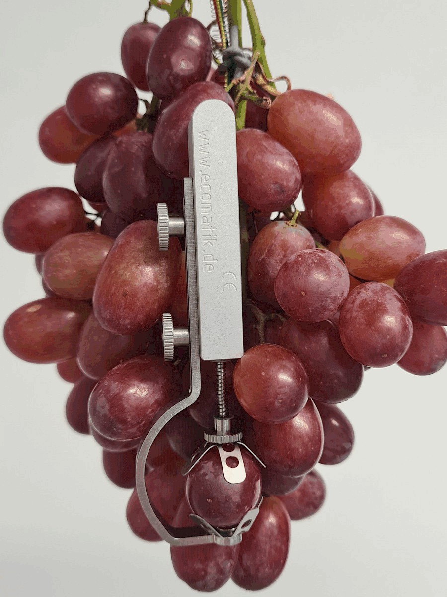 生長測(cè)量傳感器