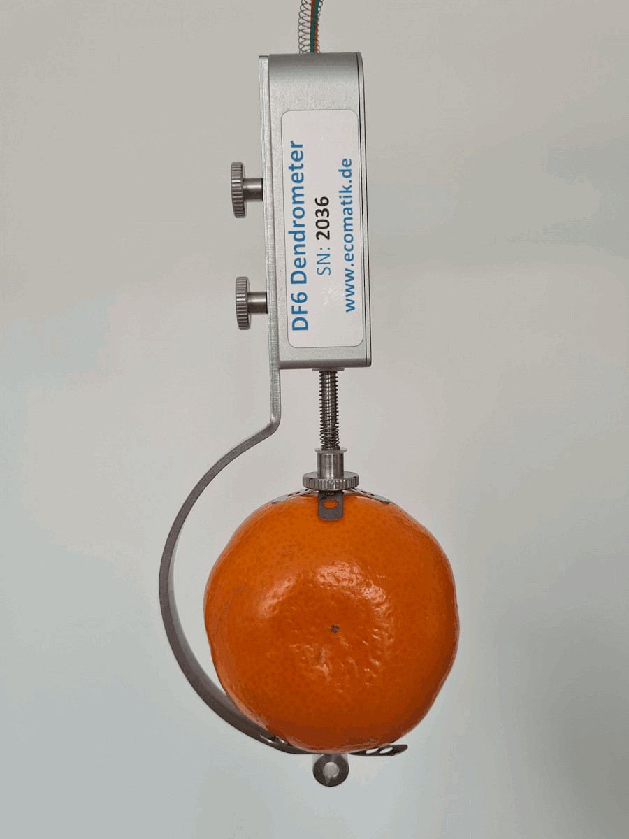 生長測(cè)量傳感器