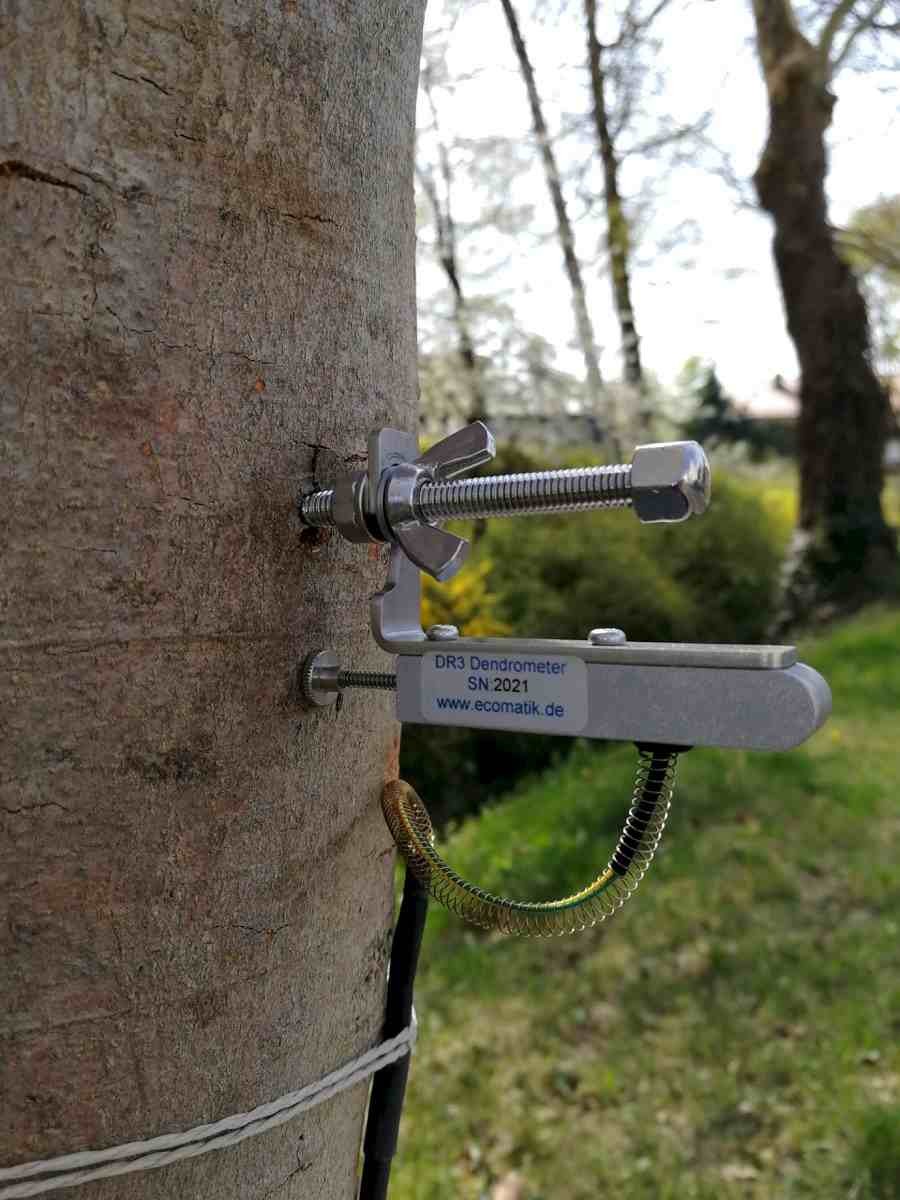 半徑生長測量儀